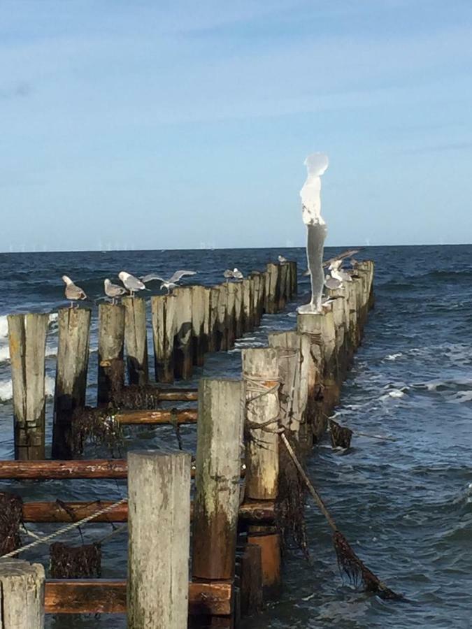 Apartmán Haus Selma Zingst Exteriér fotografie